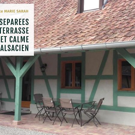 Gite Chez Marie-Sarah Petite Maison Calme Parking Ebersheim Dış mekan fotoğraf